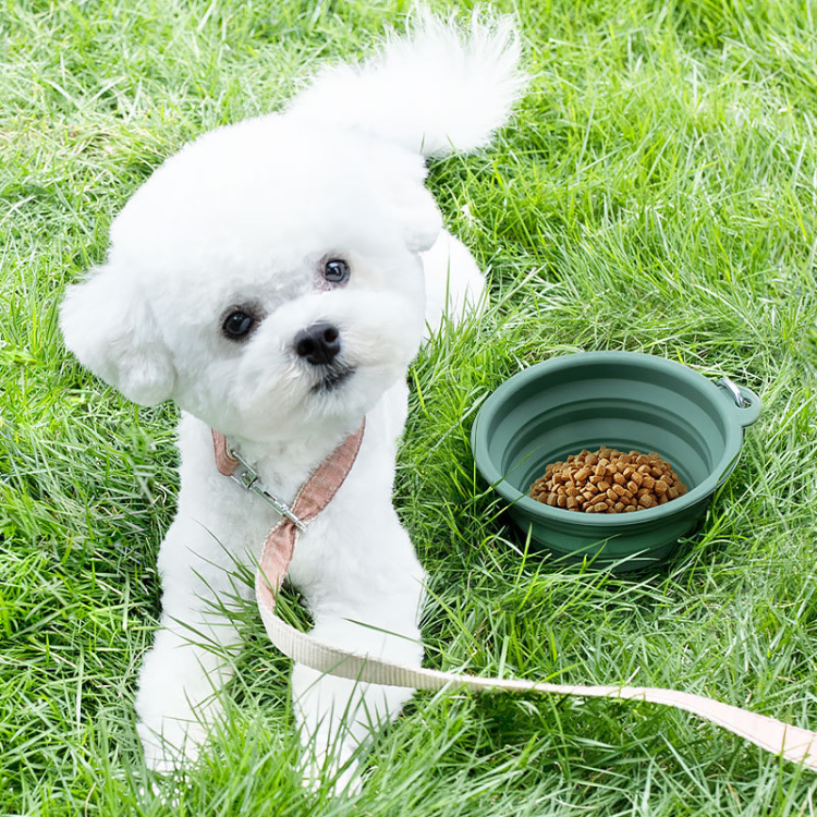 Silicone Foldable Pet Bowl 400/1000ml for Portable Travel Dog Water Food Bowl BPA Free Feeding