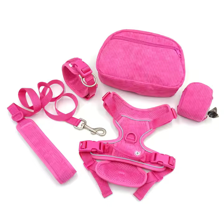 2024 Luxury Padded Dog Harness & Leash Set – Custom Fit Collar for Dogs & Cats