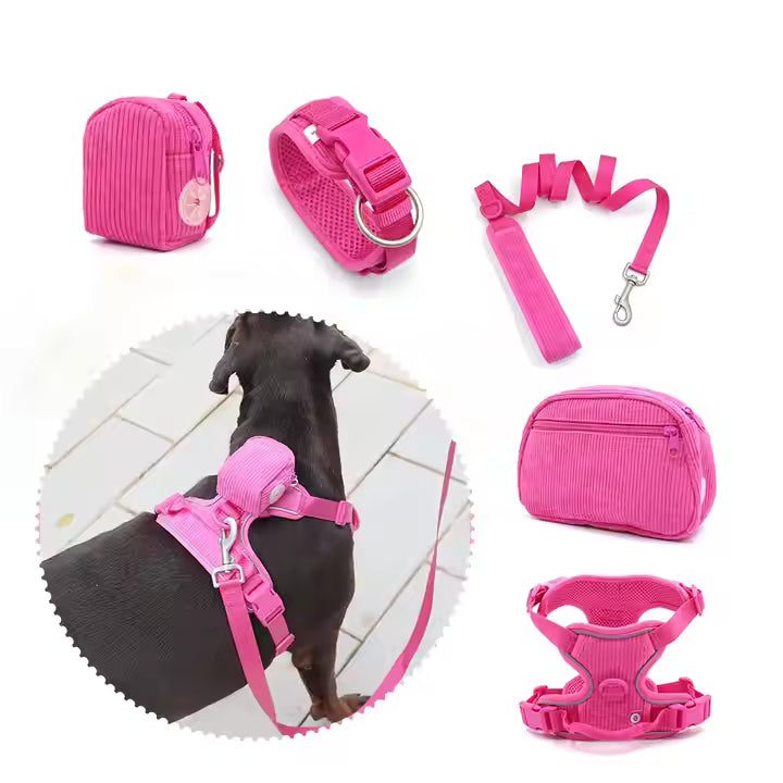 2024 Luxury Padded Dog Harness & Leash Set – Custom Fit Collar for Dogs & Cats