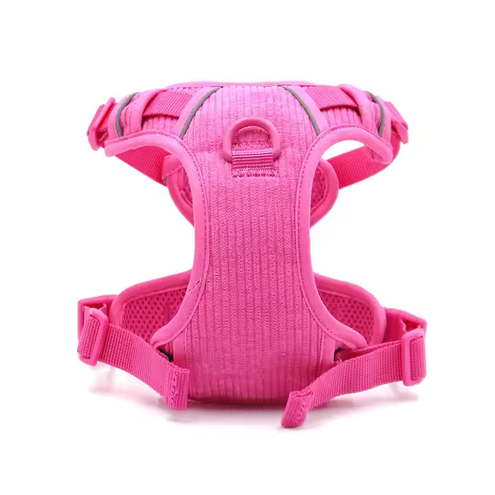 2024 Luxury Padded Dog Harness & Leash Set – Custom Fit Collar for Dogs & Cats