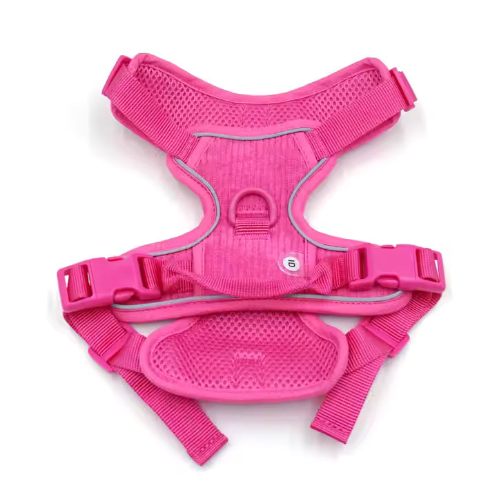 2024 Luxury Padded Dog Harness & Leash Set – Custom Fit Collar for Dogs & Cats