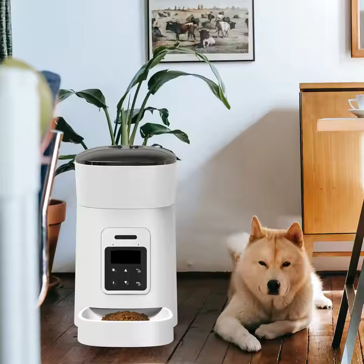 Smart Automatic Pet Feeder with Voice Reminder – Timed Dry Food Dispenser for Dogs & Cats