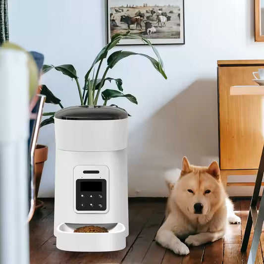 Smart Automatic Pet Feeder with Voice Reminder – Timed Dry Food Dispenser for Dogs & Cats
